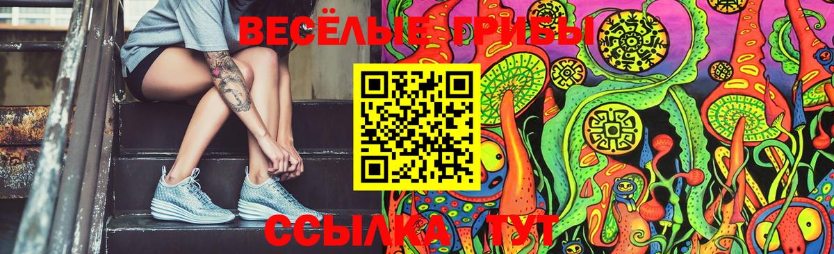 Псилоцибиновые грибы Cubensis  Галлюциногенные грибы MAGIC MUSHROOMS  Кандалакша  Вход с VPN 